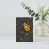 Water draait vroeg Visitekaartje (Staand voorkant)