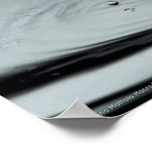 Water drop collision in black & white poster (Hoek)
