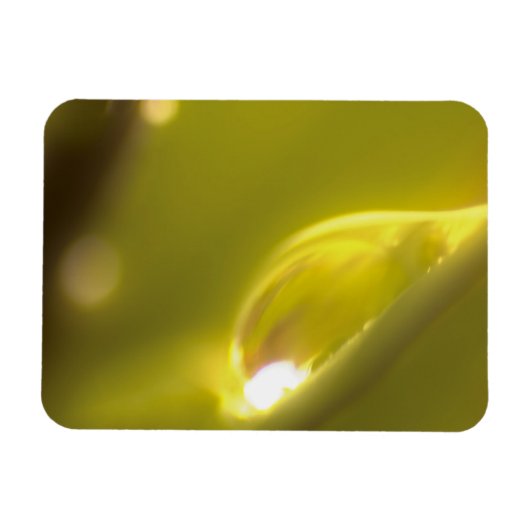 Water Drop Premium Magnet 3 Magneet (Horizontaal)