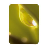 Water Drop Premium Magnet 3 Magneet (Verticaal)