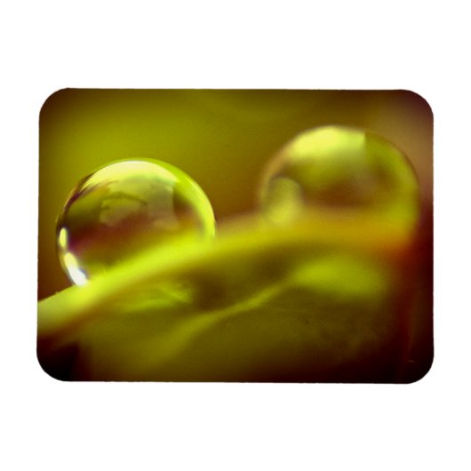 Water Drop Premium Magnet Magneet (Horizontaal)
