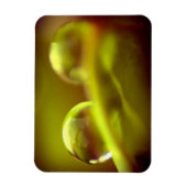 Water Drop Premium Magnet Magneet (Verticaal)
