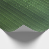 Water droplets on green leaf cadeaupapier (Hoek)