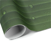 Water droplets on green leaf cadeaupapier (Rol Hoek)