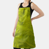 Water drops on green leaf schort (Insitu)