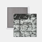 Water druppels magneet (Voorkant / Achterkant)