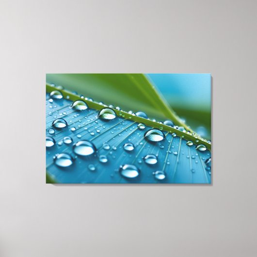 Water druppels op bladeren canvas afdruk (Voorkant)