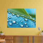Water druppels op bladeren canvas afdruk (Insitu (Woonkamer))