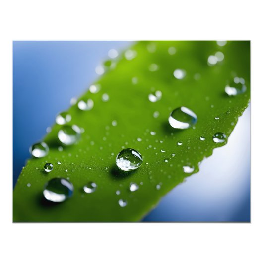 Water druppels op bladeren foto afdruk (Voorkant)