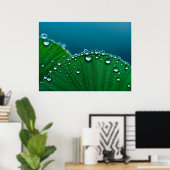 Water druppels op bladeren poster (Thuiskantoor)
