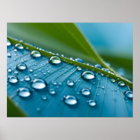 Water druppels op bladeren