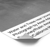 Water en bomen bij UC San Francisco, 1966 Poster (Hoek)