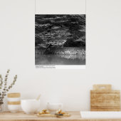 Water en bomen bij UC San Francisco, 1966 Poster (Keuken)