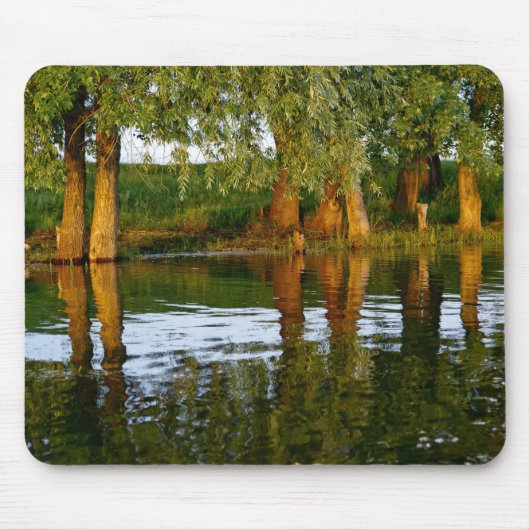 Water en bomen muismat (Voorkant)
