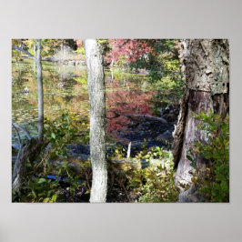 water en bomen poster