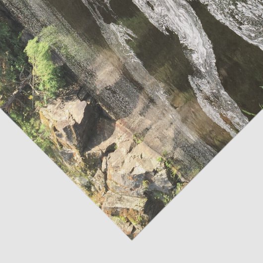 Water en bomen tissuepapier (Detail)