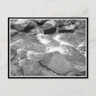 Water en Rocks Briefkaart