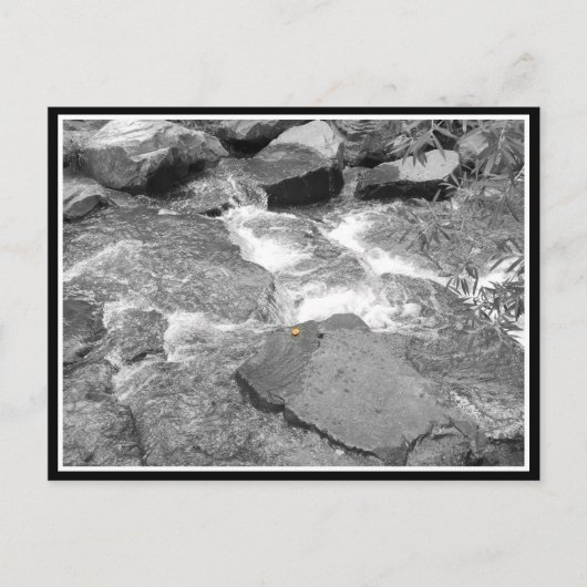 Water en Rocks Briefkaart (Voorkant)