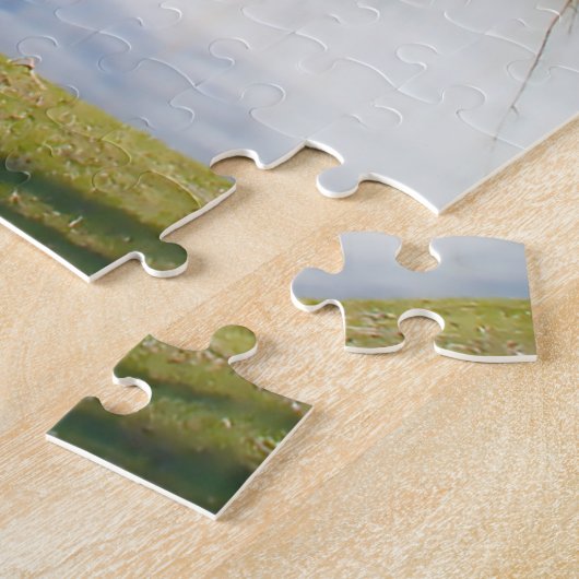 Water Feature Central Park New York Legpuzzel (Zijkant)