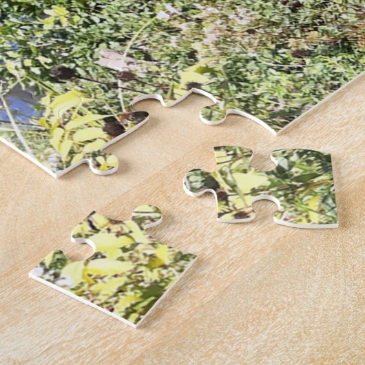 Water Feature Central Park New York Legpuzzel (Zijkant)