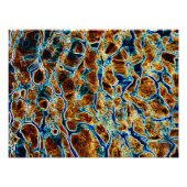 WATER FOTO AFDRUK (Voorkant)