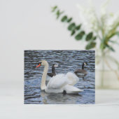 Water Fowl ~ briefkaart (Staand voorkant)