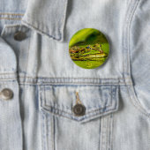 water frog ronde button 5,7 cm (In situ)