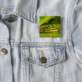 water frog vierkante button 5,1 cm (In situ)