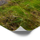 Water | Gap of Dunloe County Kerry Ierland Poster (Hoek)