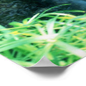 WATER HERFST bij SHAWS GARDEN Poster (Hoek)