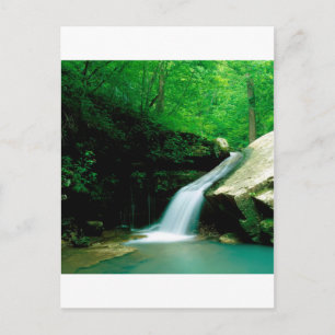 Water Indische Creek Buffalo Briefkaart