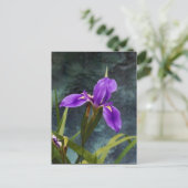 Water Iris Briefkaart (Staand voorkant)