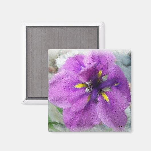 Water Iris II Magneet (Voorkant / Achterkant)