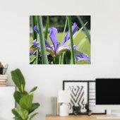 Water Iris op vijver Poster (Thuiskantoor)