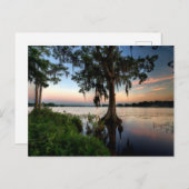 Water | Kraft Azalea Park Maitland Florida Briefkaart (Voorkant / Achterkant)