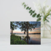 Water | Kraft Azalea Park Maitland Florida Briefkaart (Staand voorkant)