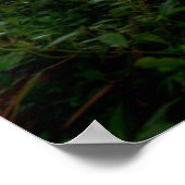 Water | Kraft Azalea Park Maitland Florida Poster (Hoek)