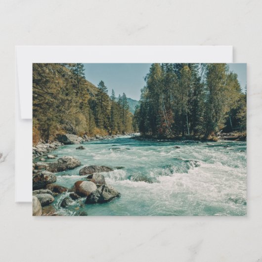Water Kucherla River, Altai Mountains Bedankkaart (Voorkant)