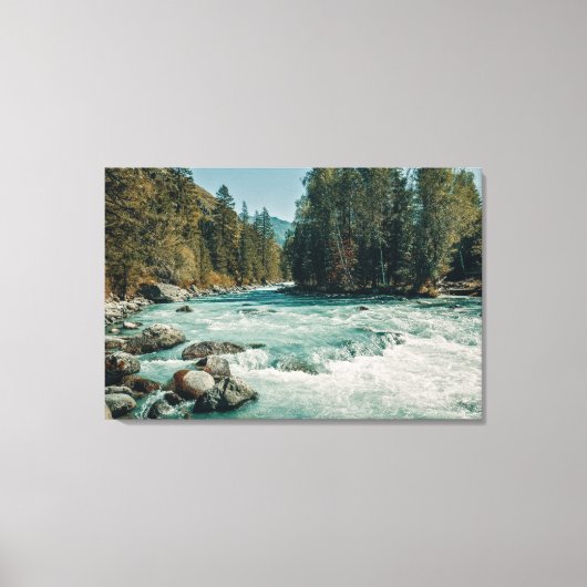 Water Kucherla River, Altai Mountains Canvas Afdruk (Voorkant)