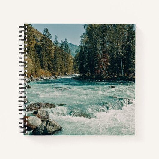 Water | Kucherla River, Altai Mountains Notitieboek (Voorkant)