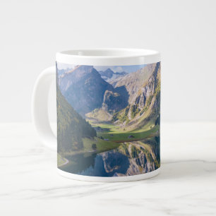 Water Lake Alpsee Switzerland Grote Koffiekop