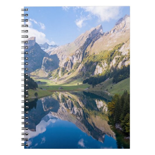 Water | Lake Alpsee Switzerland Notitieboek (Voorkant)