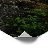 Water Lake Superior Grand Marais, Minnesota Poster (Hoek)