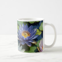 Water Lelie levendige bloem