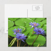 Water lelies kaart (Voorkant / Achterkant)