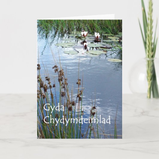 Water Lelies Sympathy Card - Welsh Groet Kaart (Voorkant)
