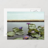 Water ligt in een vijver op zee briefkaart (Voorkant / Achterkant)