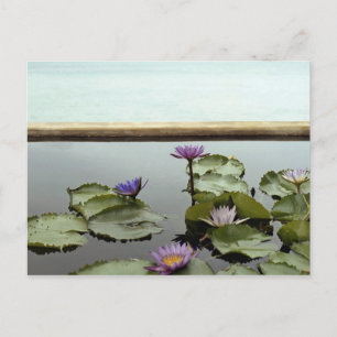 Water ligt in een vijver op zee briefkaart