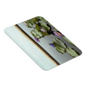 Water ligt in een vijver op zee magneet (Rechterzijde)