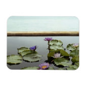 Water ligt in een vijver op zee magneet (Horizontaal)